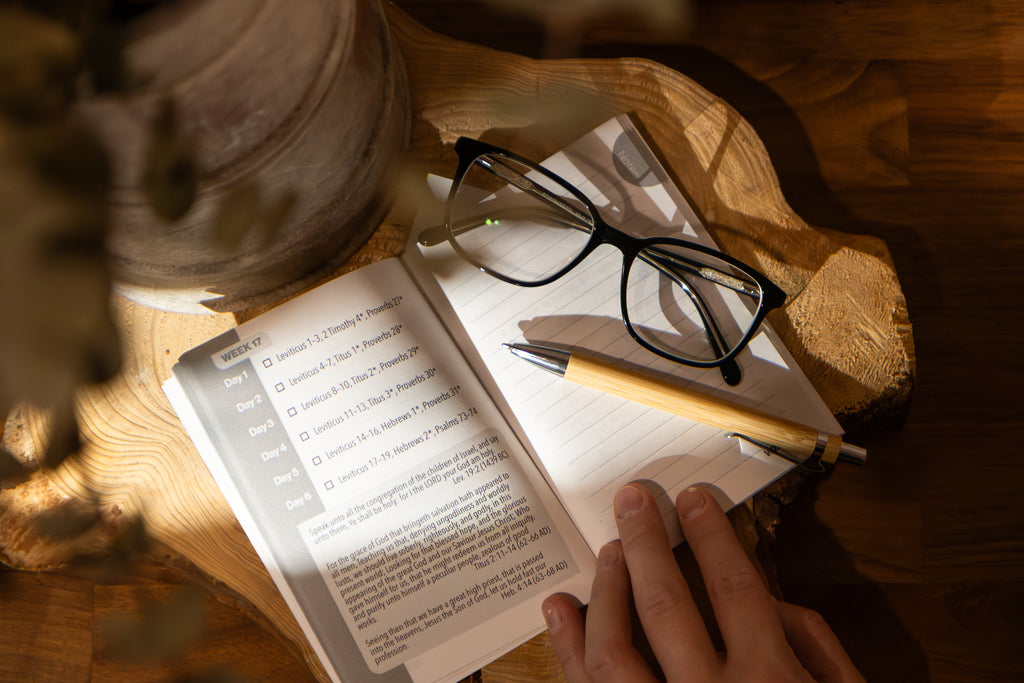 Bible Reading Plan (Whole Bible)